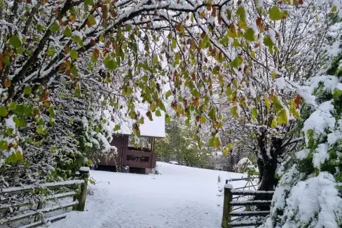 Enclosed garden at Suran Y Coed, Powys