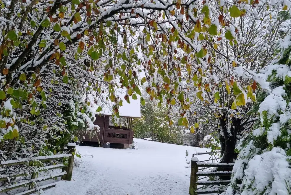 Enclosed garden at Suran Y Coed
