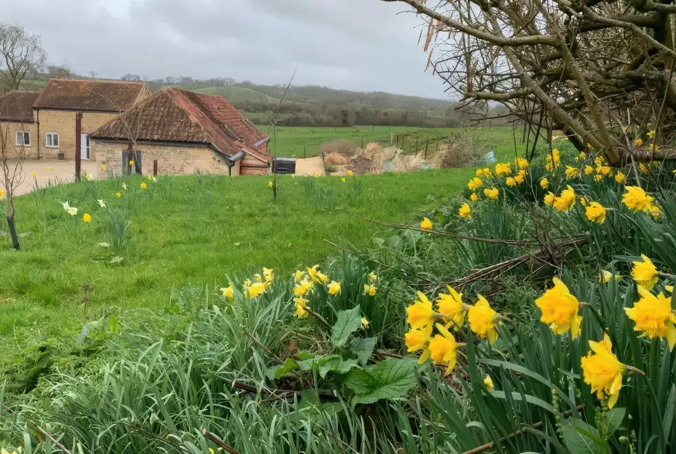 Countryside views at Swallows Nest