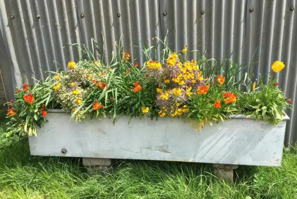 Garden at Swallows Nest