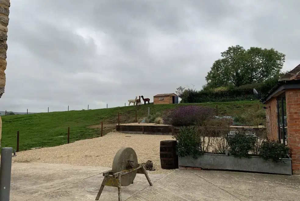 Countryside near Swallows Nest