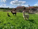 Countryside near Swallows Nest - thumbnail photo