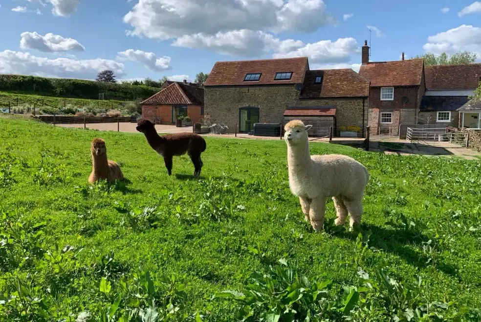 Countryside near Swallows Nest