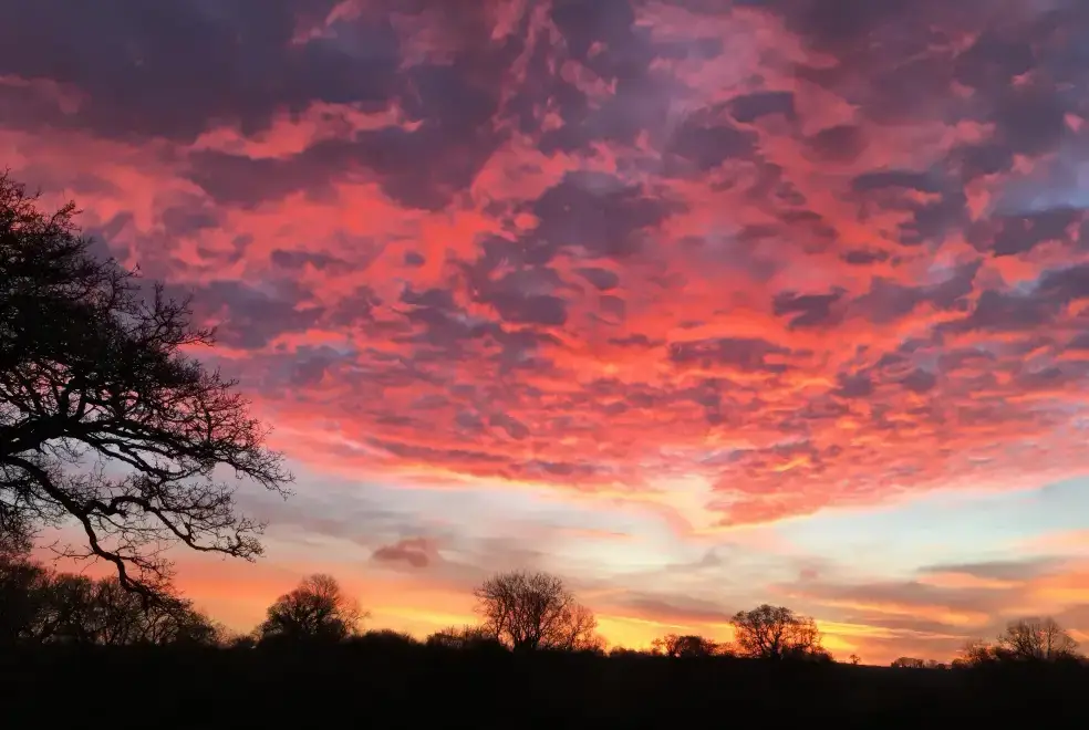 Countryside views at Swallows Nest