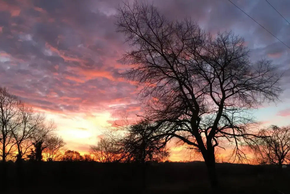 Countryside views at Swallows Nest