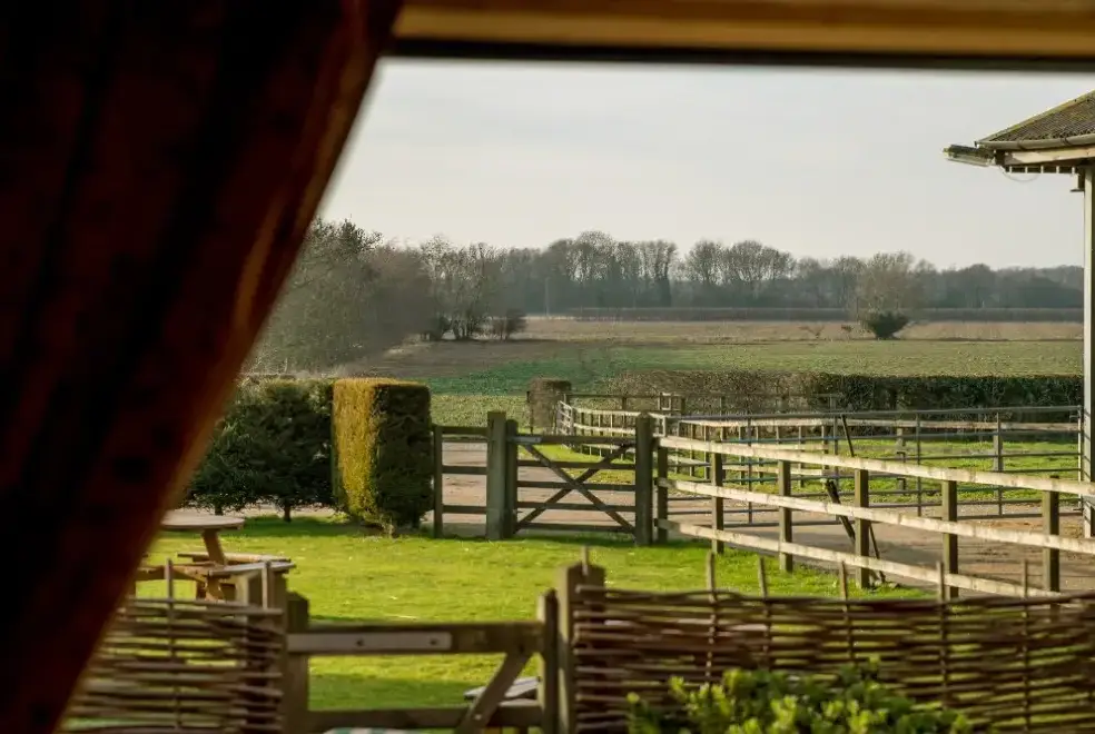 Countryside views at Teal