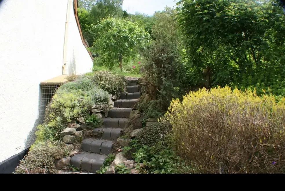 Garden at The Anchor