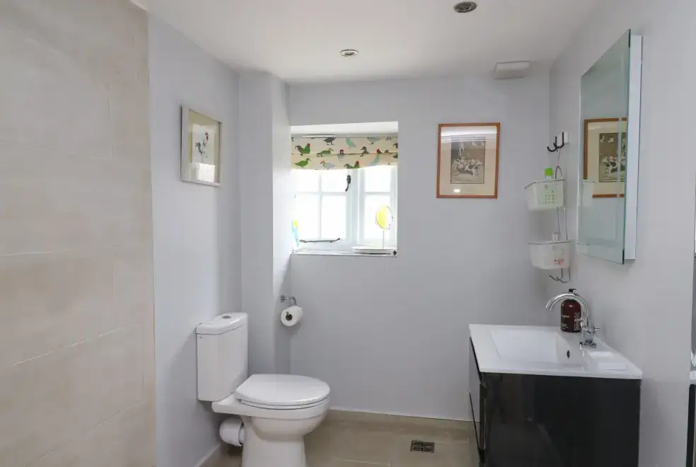 Loo at The Barn at Glanoer