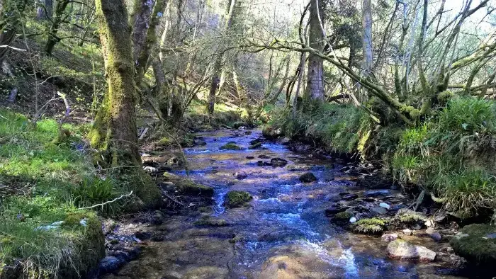 Countryside near The Barn at RyePark House