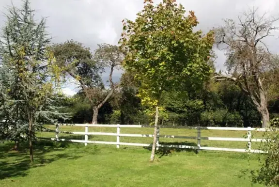 Countryside views at The Barn at Lower Bassibones Farm
