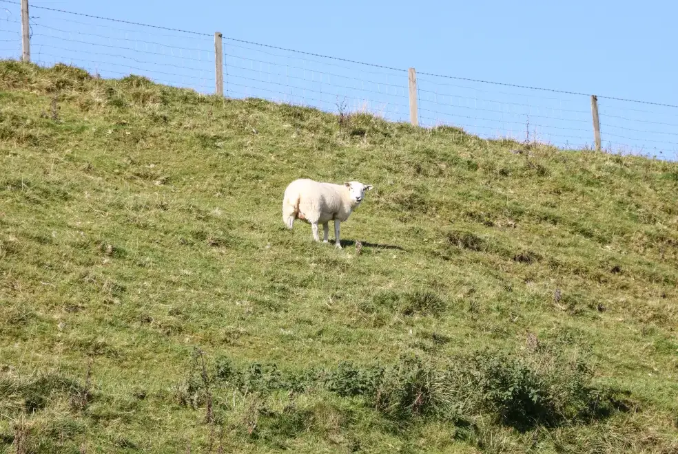 Countryside near The Barn at Hill House