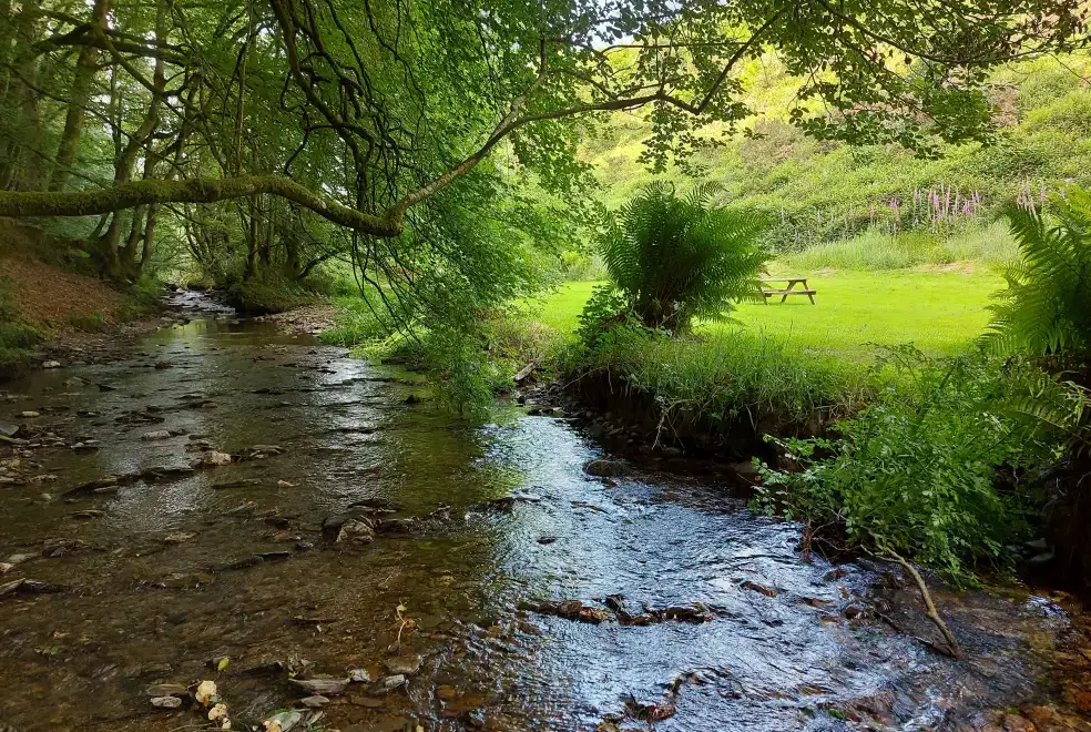 Countryside views at The Barn at RyePark House