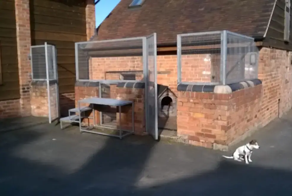 Dogs welcome at The Barn