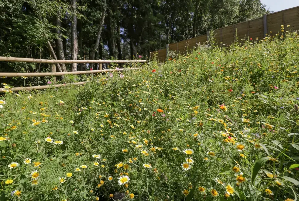 Countryside views at The Barn