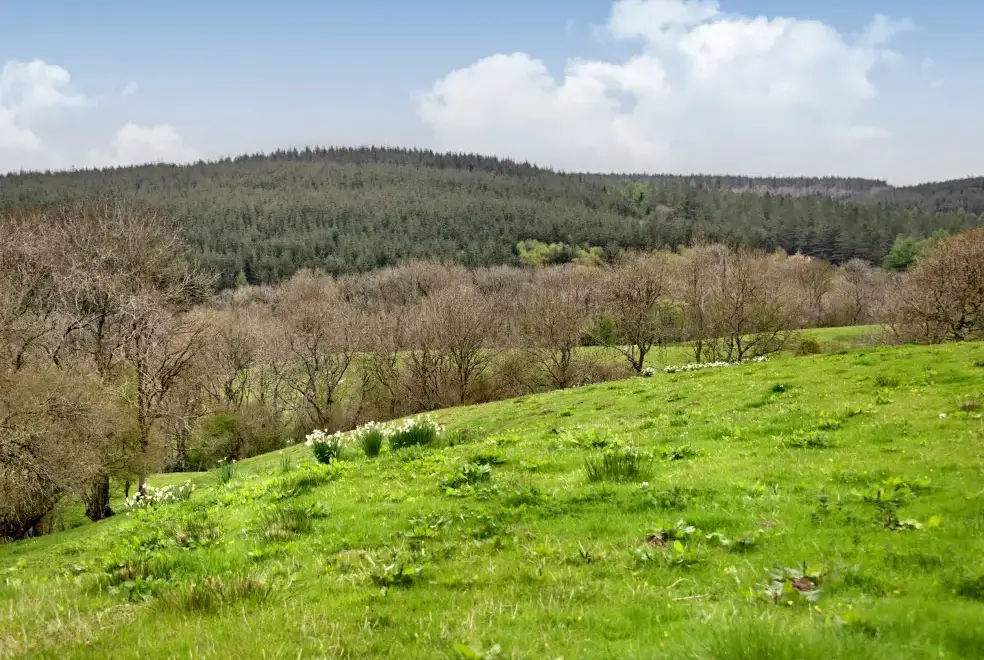 Countryside views at The Birches