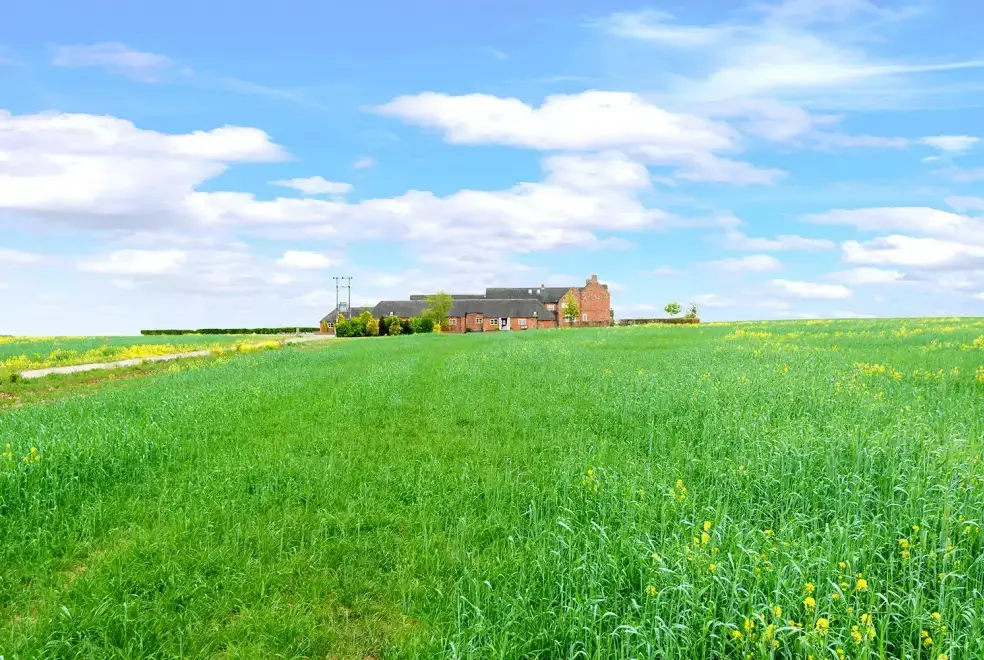 Countryside near The Byre