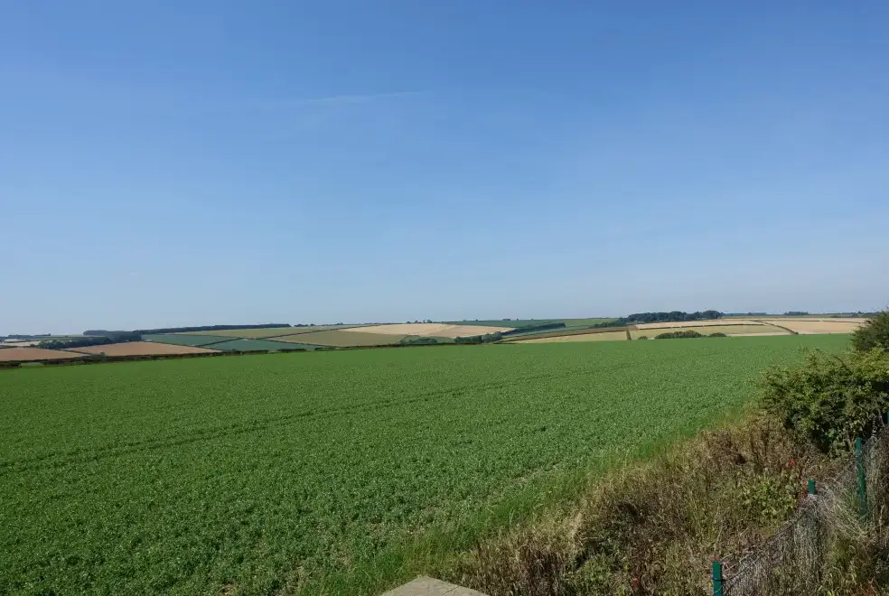 Surrounding area near The Cornmill 
