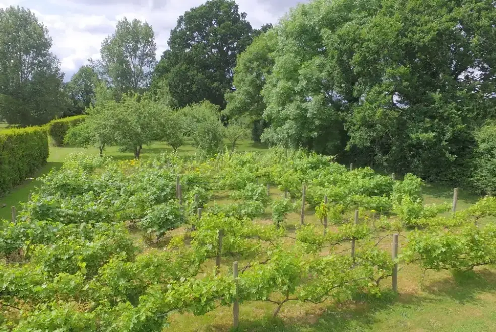 Countryside views at The Cotswold Manor Vineyard, Exclusive Hot-Tub, Games/Event Barns, 70 acres of Parkland