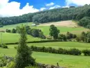 Countryside views at The Cow Shed - thumbnail photo