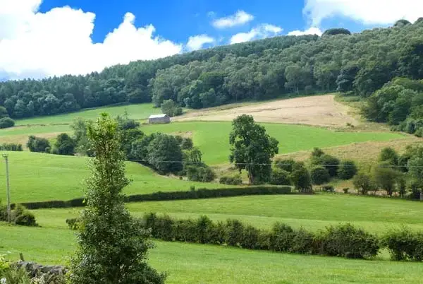 Countryside views at The Cow Shed