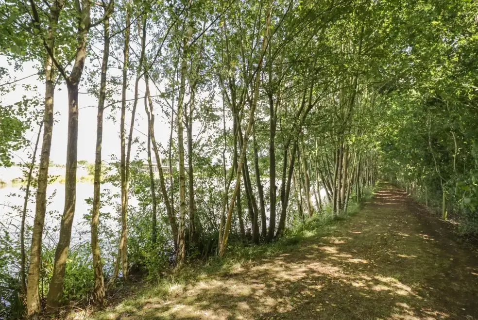 Countryside near The Croft