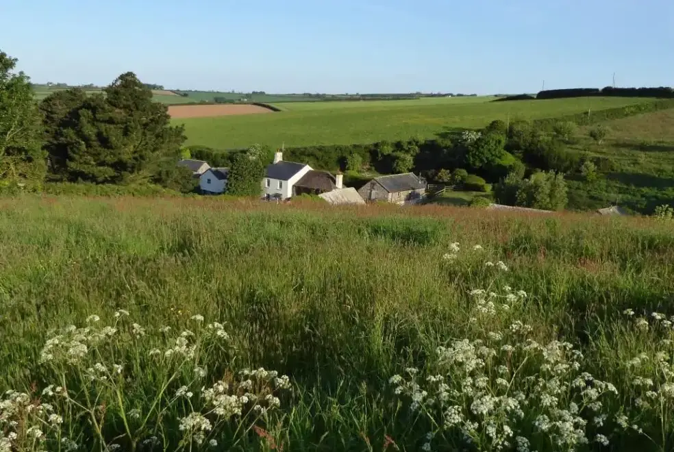  at The Dovecote, two bedrooms sleeping 3 with pretty garden, dog friendly
