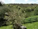 Countryside views at The Dovecote - thumbnail photo