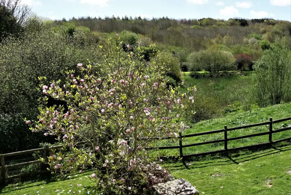 Countryside views at The Dovecote