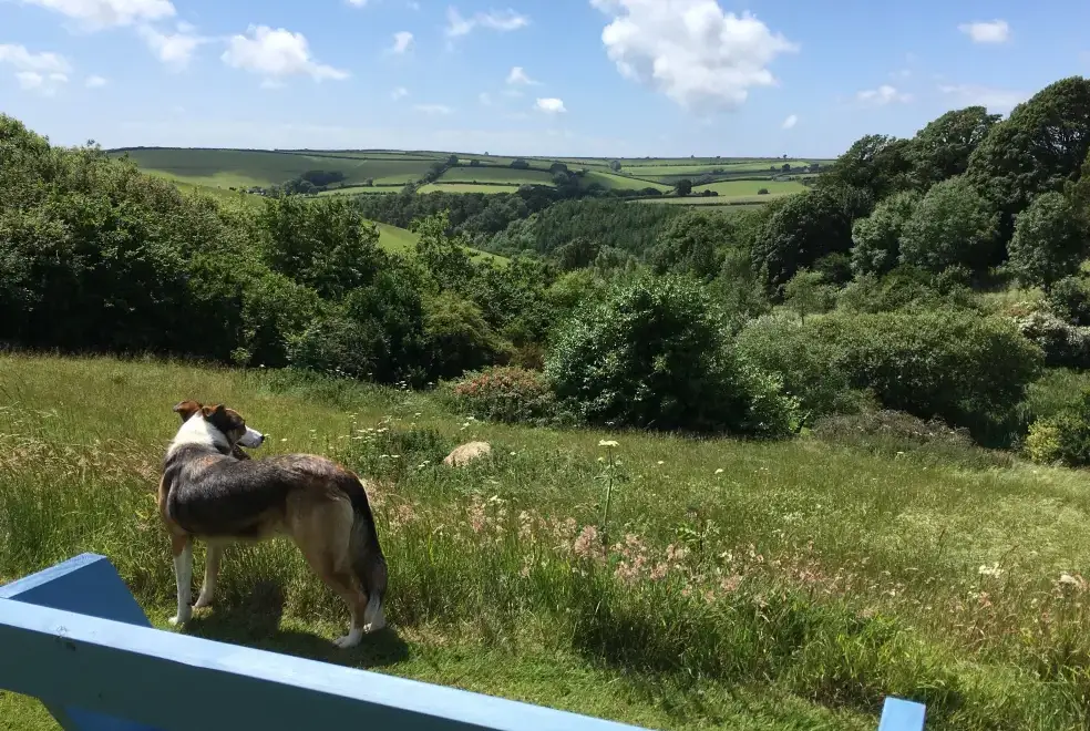 Countryside views at The Dovecote