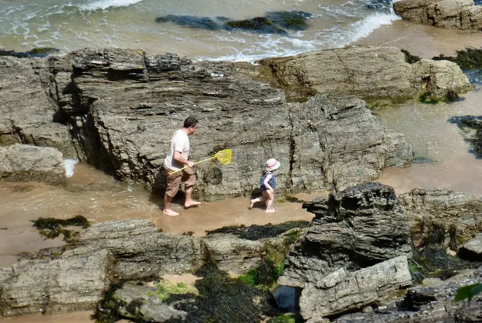Coastal scenes near The Dovecote