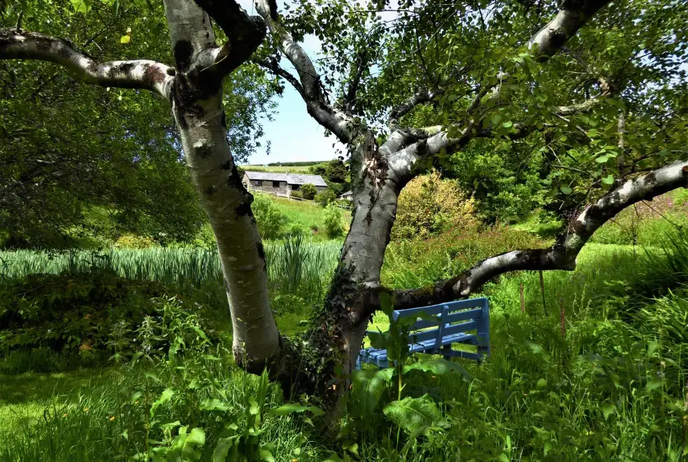 Garden at The Dovecote