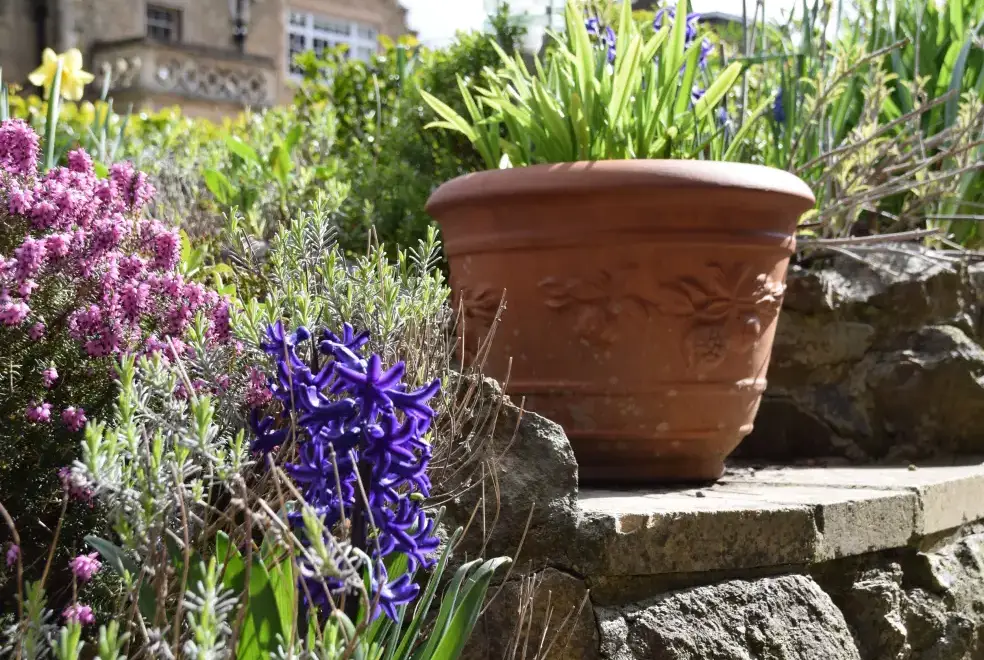 Garden at The Escape Romantic Retreat