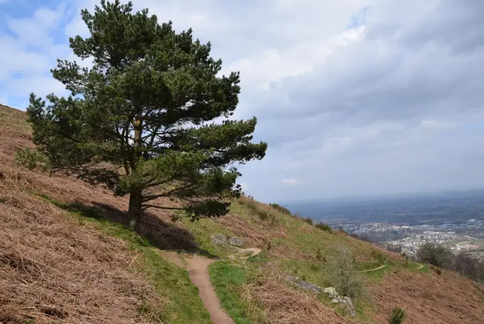 Countryside views at The Escape Romantic Retreat