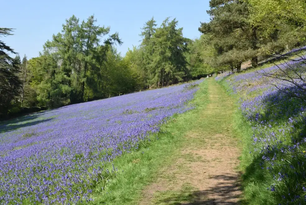 Countryside near The Escape Romantic Retreat