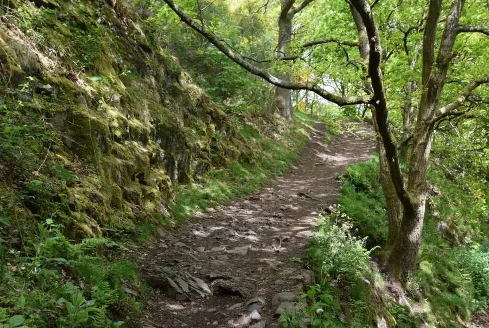 Good walks near The Escape Romantic Retreat