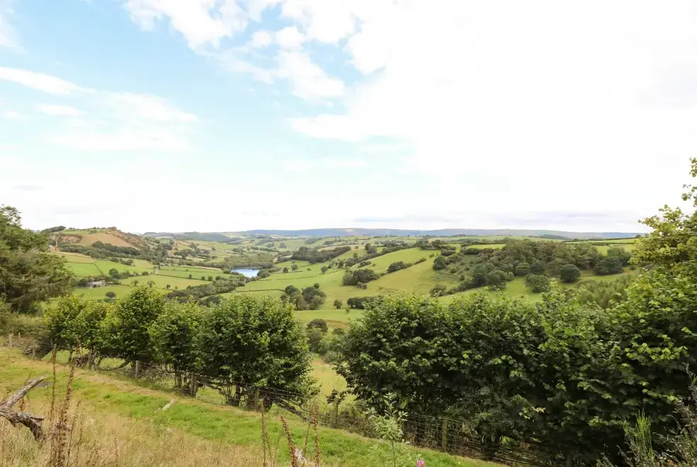 Countryside views at The Firs