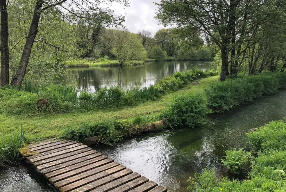 Good walks near The Fishing Lodge