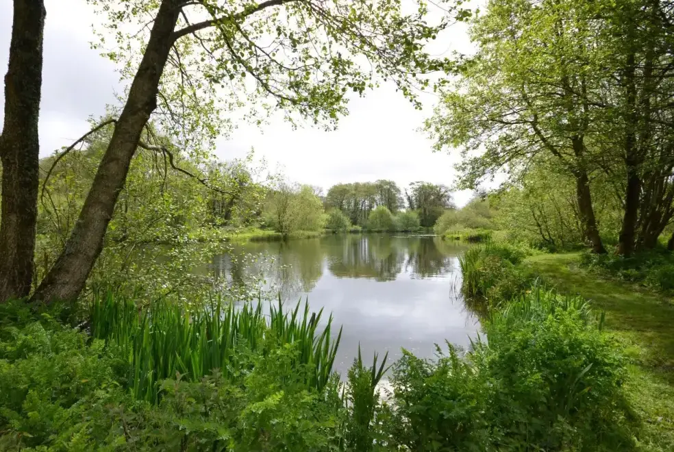 Lake view at The Fishing Lodge