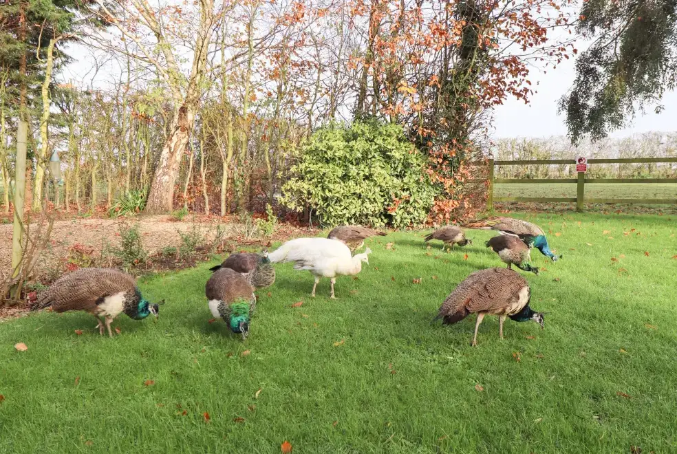 Surrounding area near The Granary