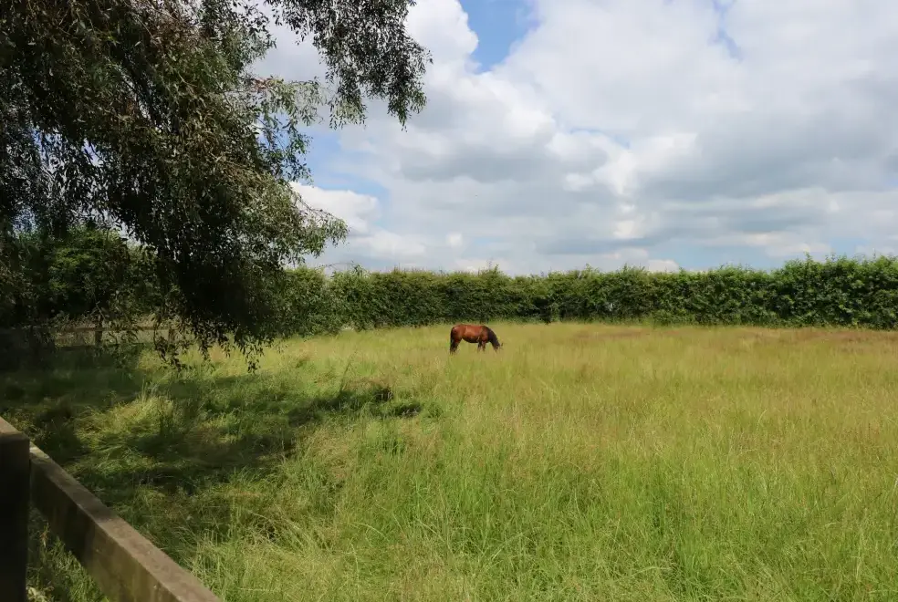 Countryside views at The Granary