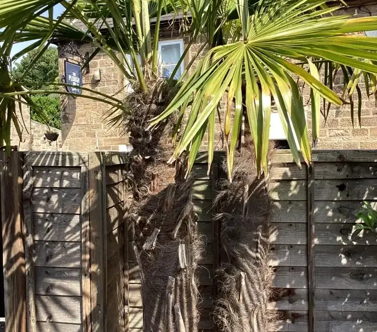 Garden at The Haven - Luxury Sheltered Hot Tub & Games Room