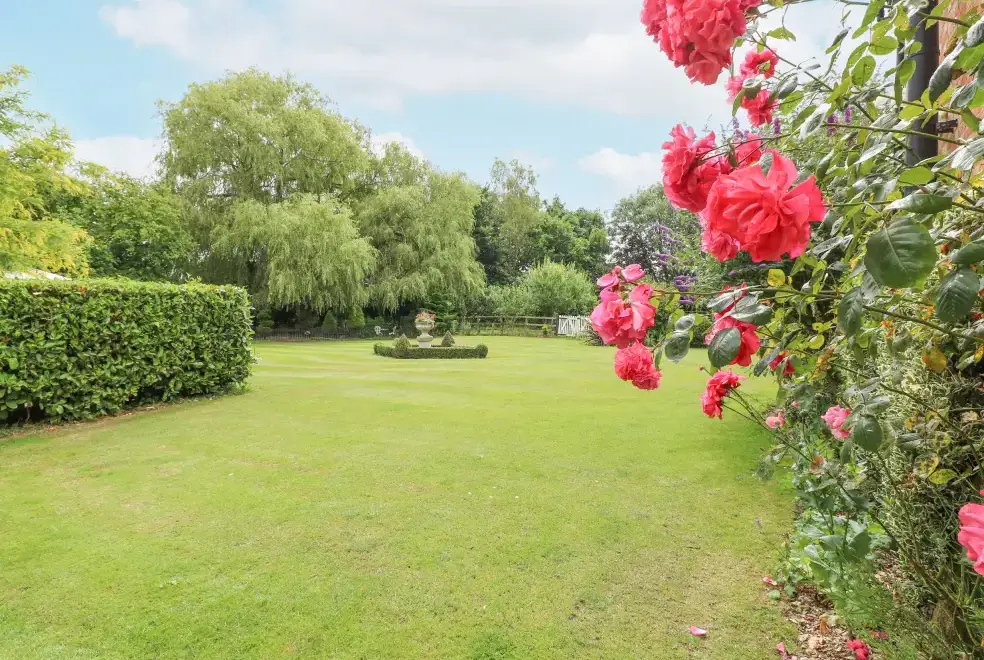 Garden at The Hayloft