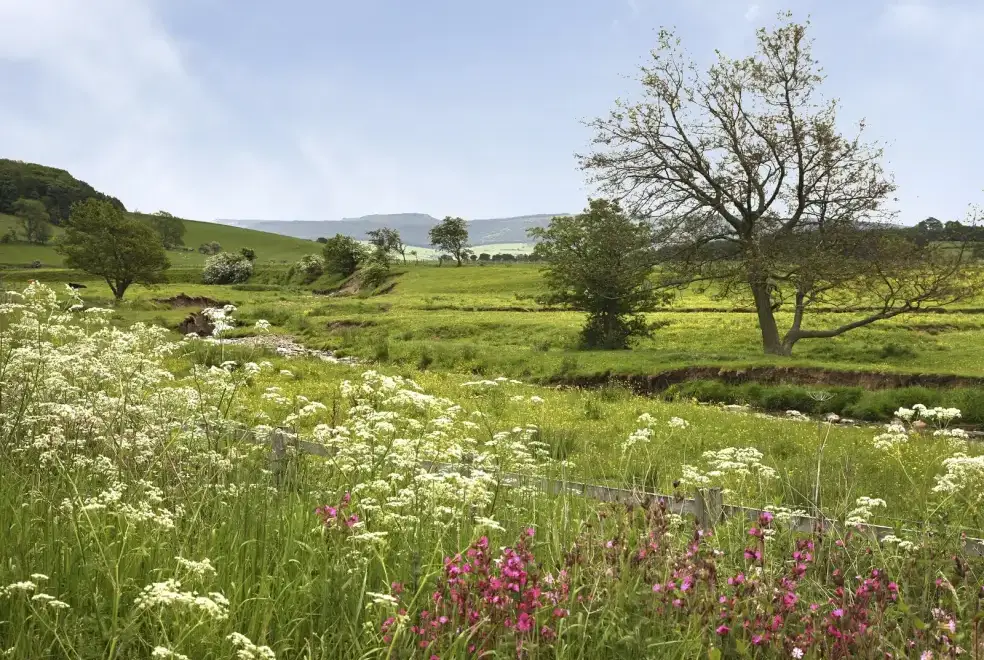 Countryside views at The Hideaway
