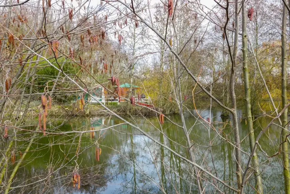 Lake view at The Lakeside Yurt Dogs-welcome Cottage, Cotswolds 