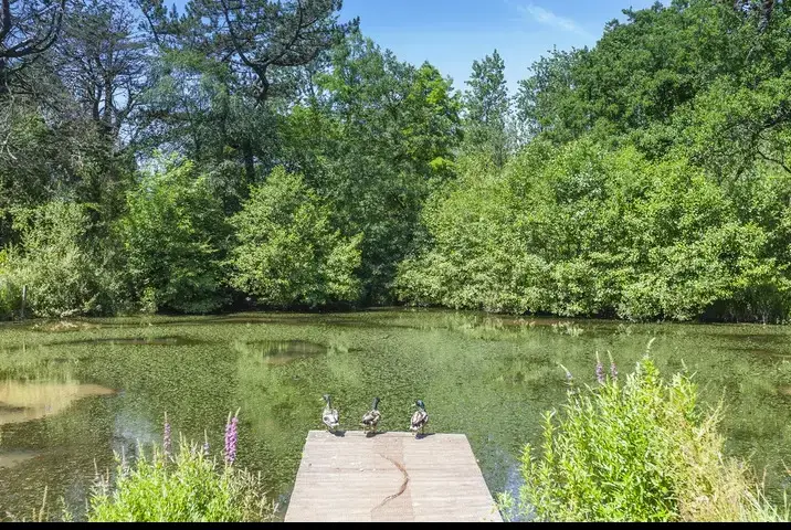 Surrounding area near The Lawns Luxury Apartment in Devon/Beautiful South Hams