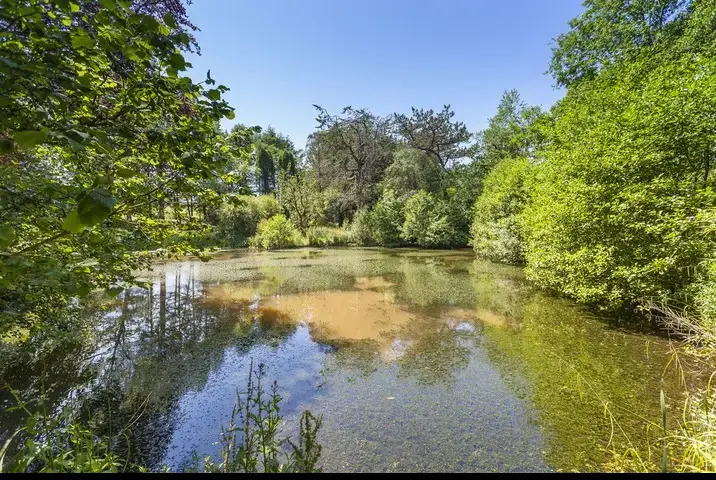 Surrounding area near The Lawns Luxury Apartment in Devon/Beautiful South Hams