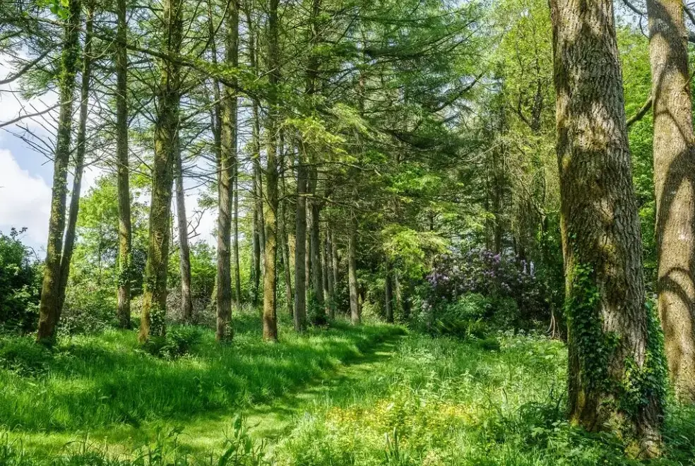 Surrounding area near The Lawns Luxury Apartment in Devon/Beautiful South Hams