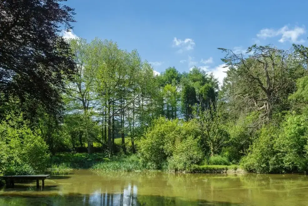 Surrounding area near The Lawns Luxury Apartment in Devon/Beautiful South Hams