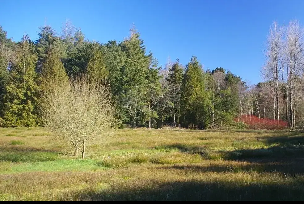 Countryside near The Lawns Luxury Apartment in Devon/Beautiful South Hams