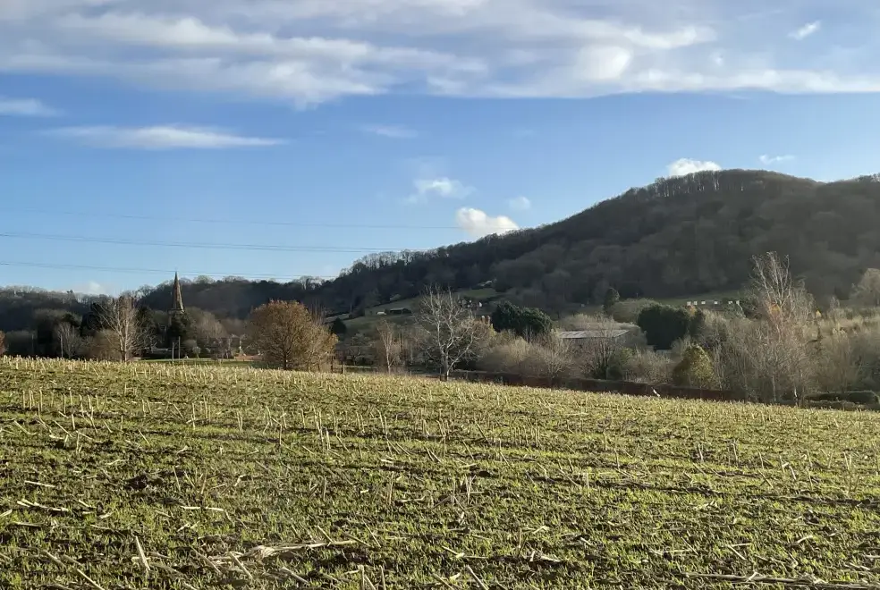 Countryside views at The Little Beehive